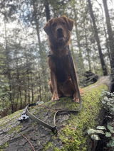 F.D. review photo