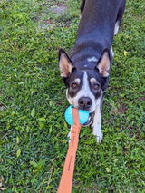 Thuyen B. review photo
