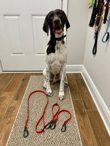 mikki review photo