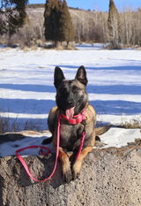 Ella O. review photo