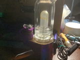 William Picchiarini review photo