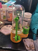 Lori review photo
