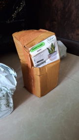 Neeraj Acharya review photo