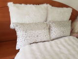 Cordova Ruiz review photo