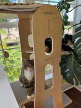 Abby review photo