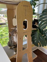 Abby review photo