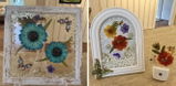 Renee Brandenburg review photo