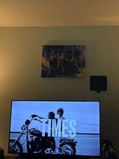 Review picture