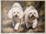 Kathy Burns review photo