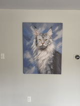 Zachary Cej review photo