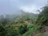 Bush missionary review photo