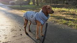 Kristina review photo