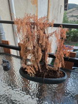 Oceane D. review photo