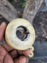 Tahiroller review photo