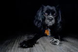 Laura W. review photo