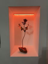 Amarjit Atwal review photo