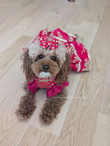 Jessica review photo