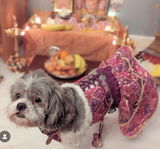 Sookie review photo