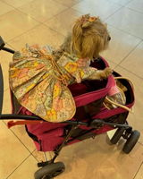 Nicole Tharle review photo