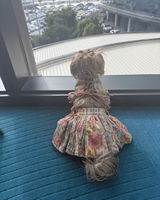 Nicole Tharle review photo