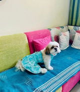 Toral G review photo