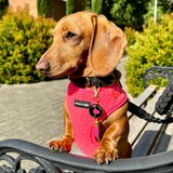 Denise Towie review photo