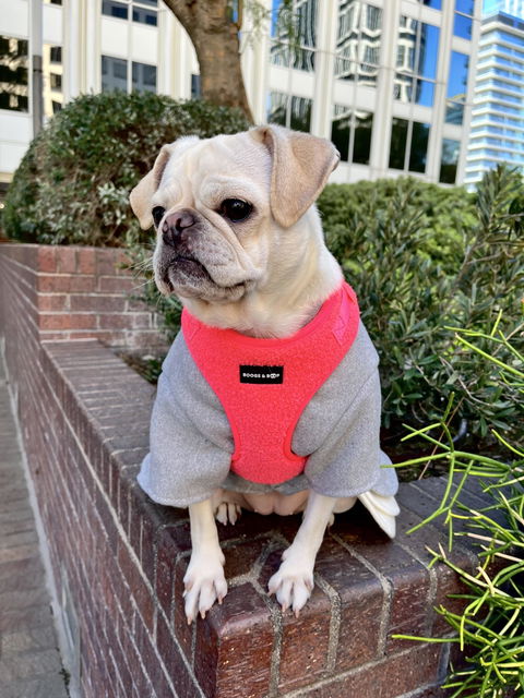 Adjustable Teddy Fabric Dog Harness - Fluorescent Pink