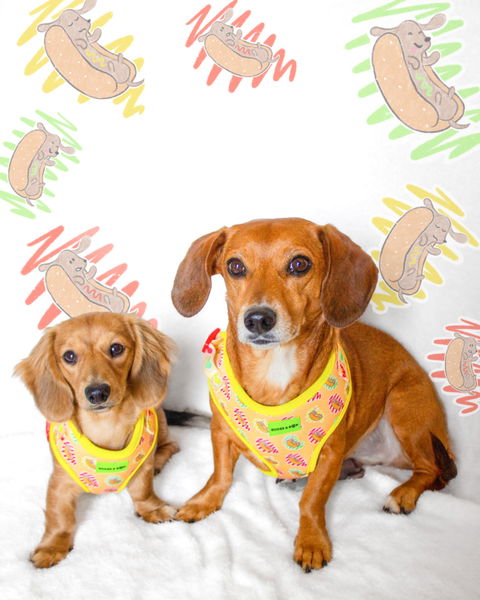 Adjustable Hot Dog Lover Dog Harness