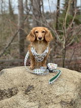 Jennifer Langford review photo
