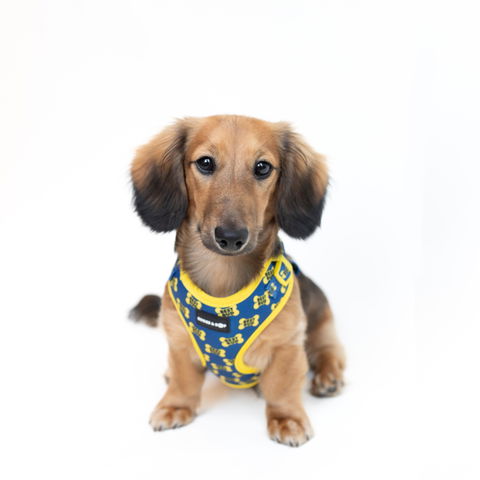 Adjustable Best Bud Dog Harness