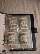 100 Envelope Challenge Budget Planner!