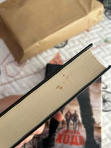 Denys Shubravyi review photo