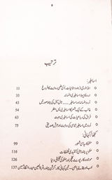 Tanveer Mirza review photo