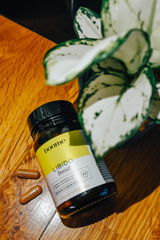 Maeva review photo