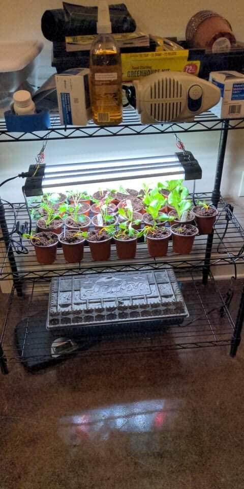 LED Grow Light Full Spectrum