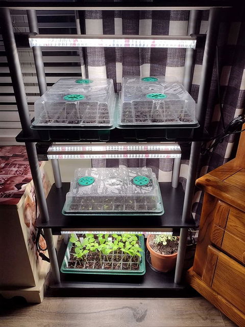 LED Grow Light Full Spectrum