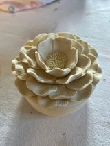 Genny C. review photo