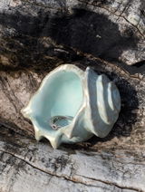 Volha review photo