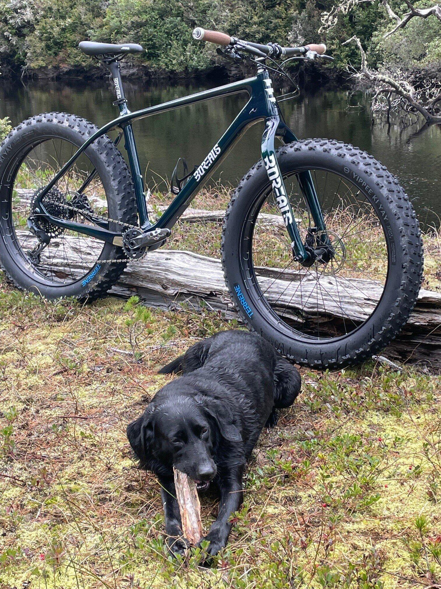 Crestone - Fat Bike for Any Terrain. Mountain | Snow | Sand
