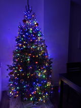 Sylvianne Laflamme review photo