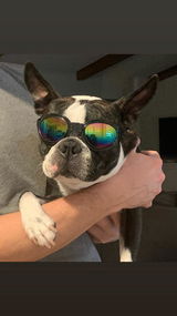 User picture