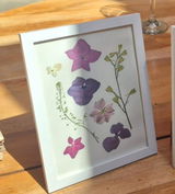 Vale Mansilla review photo