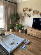 Cecilia Rossouw review photo