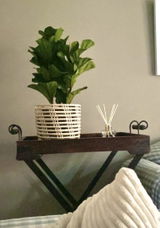 Teak review photo