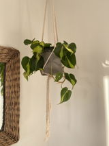 Helga Uys review photo