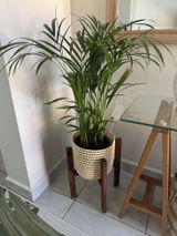 Monet Blofield review photo