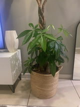Aphiwe review photo