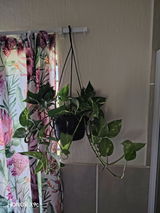 Roxanne Arends review photo