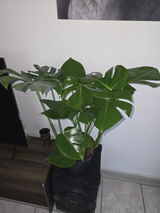 Hendrina johanna Ranft review photo