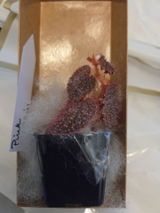 Etsy customer review photo